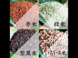 お米の種類